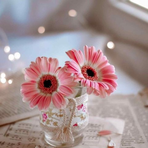 دیجی هیجران نقدر واردی دونیا اورییمده یرین وار